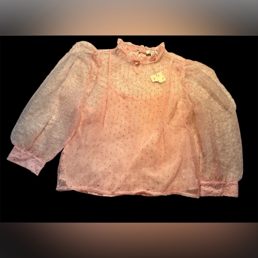 ⭐️A.Peach Sheer Swiss Dot Puff Sleeve Pink Top Size S - Fairy Couquette Unique⭐️
